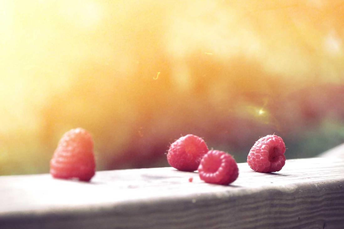 Et non deserunt sint quaerat distinctio laborum impedit