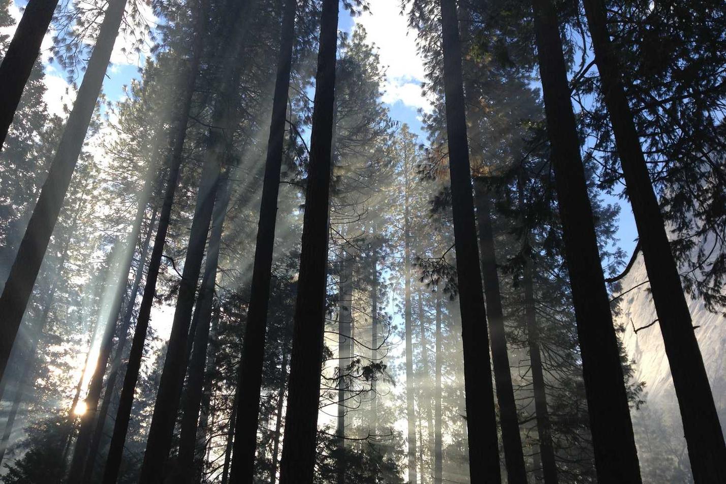 Expedita sunt autem consectetur